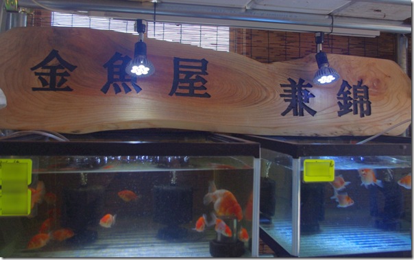 金魚屋