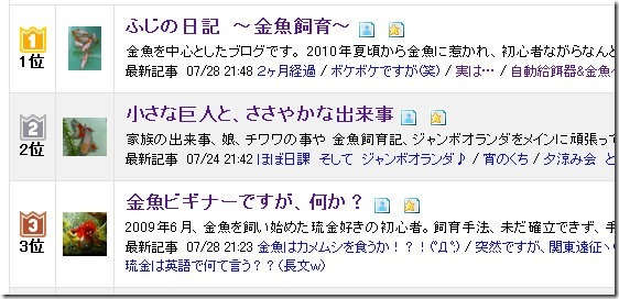 ブログ村で一瞬３強入りヽ(´ー｀)ノ