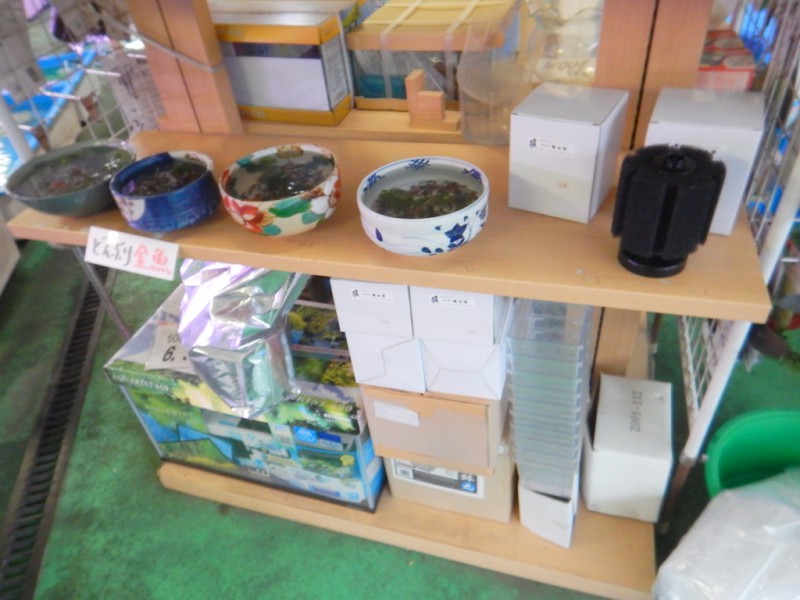 DSCN0521